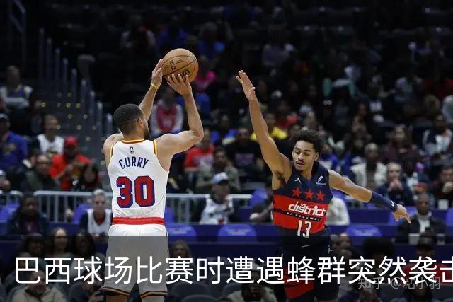 巴西球场比赛时遭遇蜂群突然袭击，大家不得不集体趴倒躲避