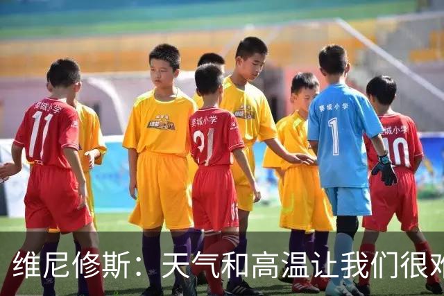 维尼修斯：天气和高温让我们很难保持节奏，但我们必须适应